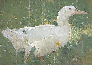  av Joseph Crawhall