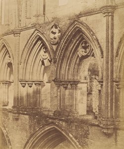 Rievaulx Abbey. Triforiumbuene, 1850