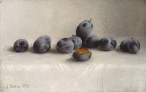 Tolv plommer, 1896