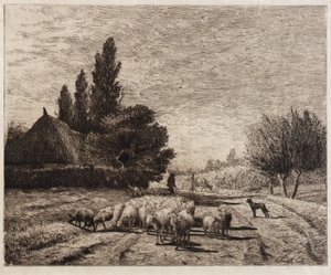  av Joseph Foxcroft Cole