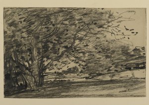 Study of Trees, 1870 (grafitt på papir) av Joseph Frank Currier