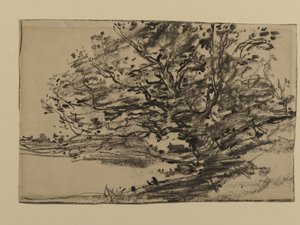 Study of Trees, 1870 (grafitt på papir) av Joseph Frank Currier