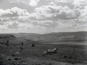  av Joseph Hardman
