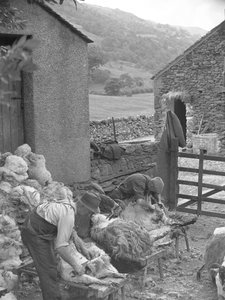  av Joseph Hardman