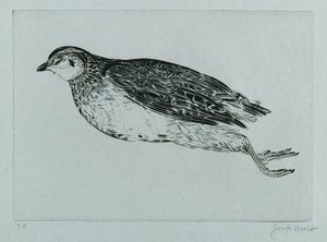 Dead Partridge (La Perdrix) (gravering) av Joseph Hecht