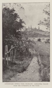Churchyard Bottom Wood, Highgate, Alexandra Palace fra utkanten av skogen av Joseph Holland Tringham
