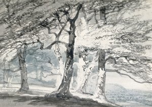 Norbury Park, Surrey (blyant og akvarell på papir) av Joseph Mallord William (attr.to) Turner