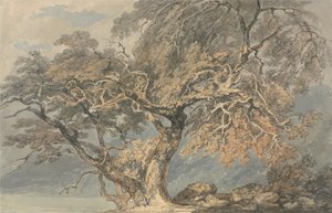 Et stort tre av Joseph Mallord William Turner