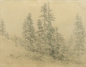 Kostbar tann av Joseph Martin Höger