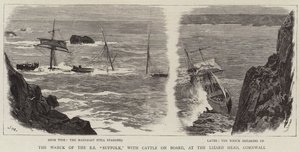 Vraket av SS Suffolk, med storfe om bord, ved Lizard Head, Cornwall