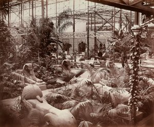 Crystal Palace i London: den tropiske delen, ca. 1870 (s/hvitt-bilde)