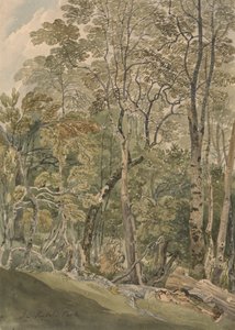 I Rydal Park