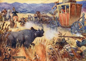 Simon Van der Stel and the Rhinoceros (farge litho)