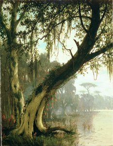 I Bayou