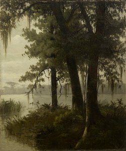Sumpscene