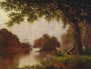 Sump på Mississippi, 1871