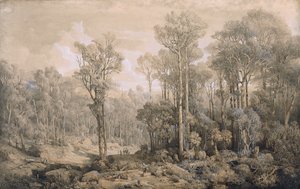 australsk skog