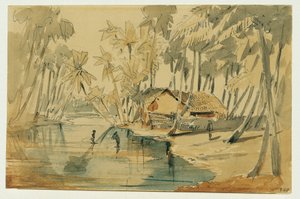 Palmelund på Ceylon (Sri Lanka)