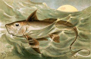 Chimaera av Joseph Smit