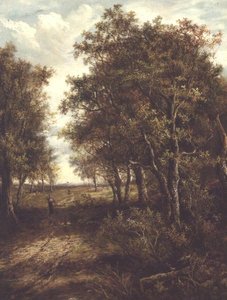 En lysning i skogen