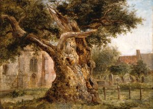 The Old Oak, 1870