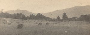 Landskap med trær og fjell, ca. 1900.
