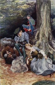 Som du vil