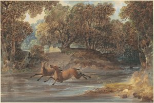 Landskap med Deer, North Carolina