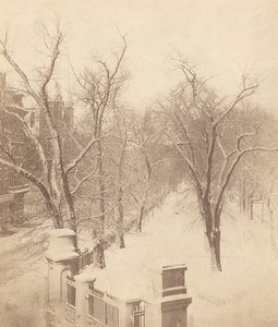 Boston Common Snow Scene