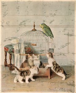 Kattunger av Josse Photo