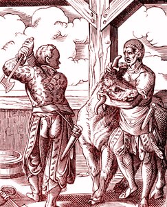 En slakter - Mat og matlaging i middelalderen. Gravering av Jost Amman (1539-1591). Gravering 1878 av Jost (after) Amman