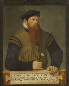 Portrett av en skjeggete mann, 1565 av Jost Amman