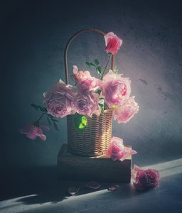  av Judy Tseng