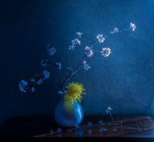  av Judy Tseng