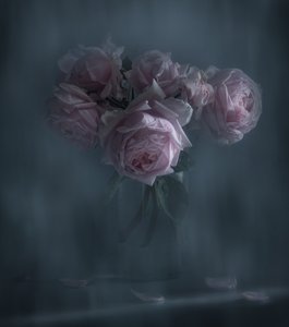  av Judy Tseng