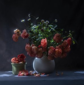  av Judy Tseng
