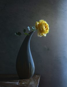  av Judy Tseng
