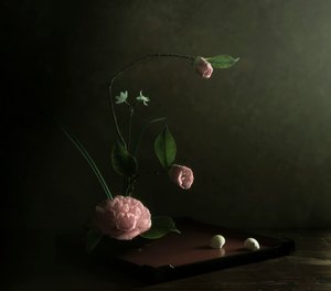  av Judy Tseng