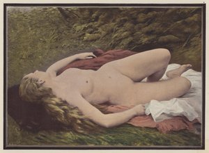 Siestaen (farge litho)