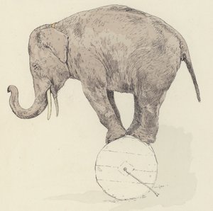 Elefantbalansering