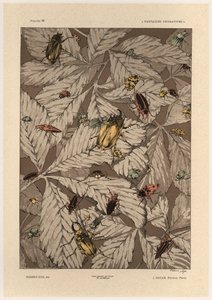 Biller, plate 38 fra 