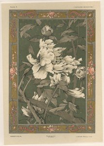 Blomster, plate 31 fra 