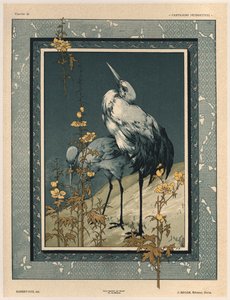 Storker, plate 40 fra 