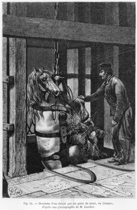 Hest blir vinsjet nedover kolgropa ved Le Creusot, illustrasjon fra 
