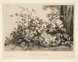 Peoner og Rhododendron av Jules Ferdinand Jacquemart