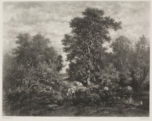 Dammen, etter Théodore Rousseau (1812-67)