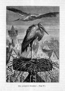 Storker på et tak- i "" Vennen Fritz"", av Erckmann-Chatrian, ill. av Théophile Schuler