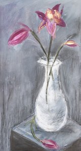  av Julia Contacessi