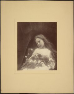  av Julia Margaret Cameron
