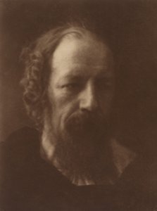 Alfred, Lord Tennyson, 1867, trykt 1905. av Julia Margaret Cameron